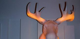 Scandic Berlin – BBQ avec un design singulier qui vous tient en souriant et en bonne santé à la fois