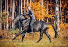 Reportage photographique: “L’Art équestre sans mors” – Jossy Reynvoet