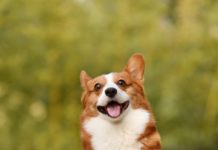 Tentative de faire bloc contre la Chine au sommet du G7