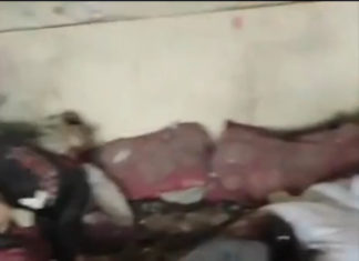 Compter les morts à Gaza : difficile mais indispensable