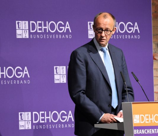 Merz admet que le gouvernement allemand manque de soutien