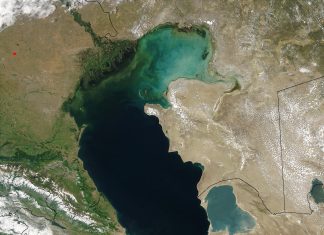 Les scientifiques pensent que les émissions de gaz naturel pourraient être à l’origine de la mort massive de phoques dans la mer Caspienne