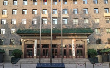 Des archéologues découvrent les restes fossilisés d’un chat de la taille d’une paume en République populaire de Chine