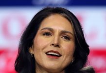 Danger pour la CIA : première audition de Tulsi Gabbard au Congrès américain
