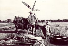 A la veille de la victoire – Sur la situation de la guerre menée par les Etats-Unis contre le Vietnam au printemps 1975