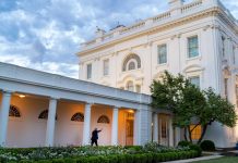 Des egos rivaux à la Maison Blanche : Trump arbitre une scène de ménage entre Rubio et Musk