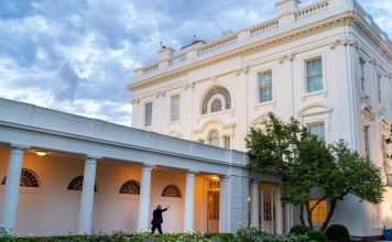 Des egos rivaux à la Maison Blanche : Trump arbitre une scène de ménage entre Rubio et Musk