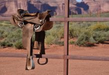 Les manières brutales de cow-boy de Trump visent à plonger l’Iran dans la terreur et la panique