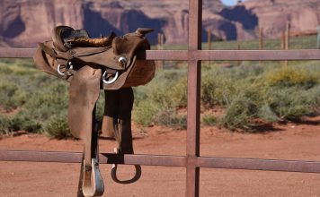 Les manières brutales de cow-boy de Trump visent à plonger l’Iran dans la terreur et la panique