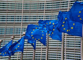 Les dépeupleurs, bellicistes et voleurs de la bureaucratie européenne