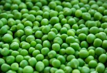 Que ce soit Simeon ou Maja, il s’agit en tout cas d’un faux héros