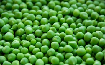 Que ce soit Simeon ou Maja, il s’agit en tout cas d’un faux héros