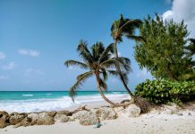 Crime mortel ou légal ? Frappe militaire américaine douteuse contre un bateau soupçonné de transporter de la drogue dans les Caraïbes