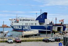 Les dockers des pays de l’OTAN prennent position contre le génocide à Gaza