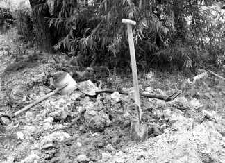 Une enquête américaine indique que les États-Unis seraient responsables de la frappe contre une école en Iran