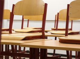 Pourquoi l’école rend aujourd’hui les gens plus manipulables
