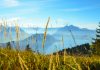 Réunion au Bürgenstock annulée à la dernière minute ou champagne au-dessus du lac des Quatre-Cantons et pétrole brut dans le détroit d’Ormuz