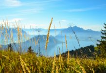Réunion au Bürgenstock annulée à la dernière minute ou champagne au-dessus du lac des Quatre-Cantons et pétrole brut dans le détroit d’Ormuz