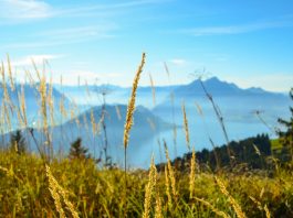 Réunion au Bürgenstock annulée à la dernière minute ou champagne au-dessus du lac des Quatre-Cantons et pétrole brut dans le détroit d’Ormuz