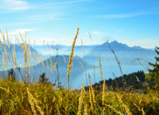 Réunion au Bürgenstock annulée à la dernière minute ou champagne au-dessus du lac des Quatre-Cantons et pétrole brut dans le détroit d’Ormuz