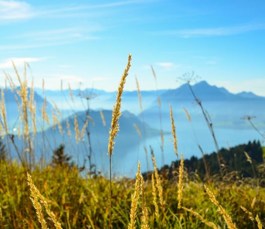 Réunion au Bürgenstock annulée à la dernière minute ou champagne au-dessus du lac des Quatre-Cantons et pétrole brut dans le détroit d’Ormuz