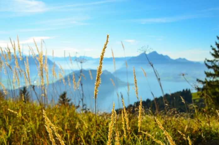 Vue depuis le Bürgenberg, également appelé Bürgenstock, sur le lac des Quatre-Cantons. Source : Pixabay, photo : Sarah Lötscher
