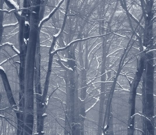 Une situation auto-infligée : des milliards gaspillés, une industrie ruinée et Bruxelles met en garde contre l’hiver